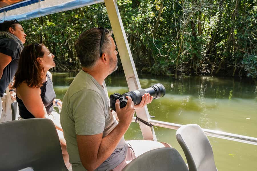 Port Douglas: Afternoon Daintree Tour w/ Wildlife Cruise - Who this tour suits best (and who might rethink it)