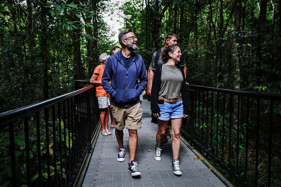 Port Douglas: Afternoon Daintree Tour w/ Wildlife Cruise - From Port Douglas pickup to the Captain Cook Highway drive