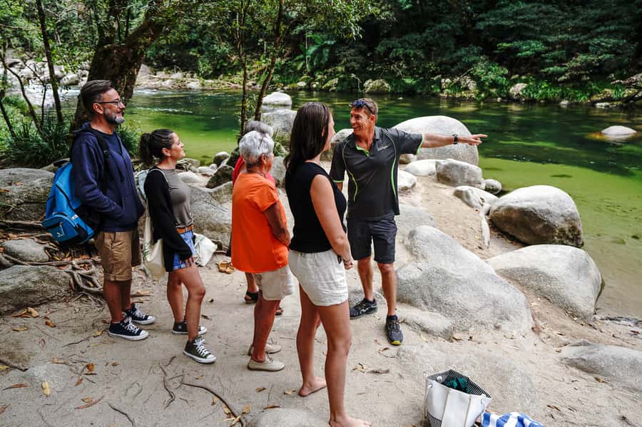 Port Douglas: Best of Daintree Rainforest Day Tour - Why This Daintree Day Tour Works So Well From Port Douglas