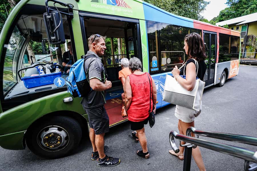 Port Douglas: Best of Daintree Rainforest Day Tour - Daintree River Cruise: Where Wildlife Spotting Becomes a Team Sport