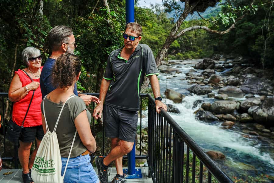 Port Douglas: Best of Daintree Rainforest Day Tour - The Guided Boardwalk Walk: Small Steps, Big Details