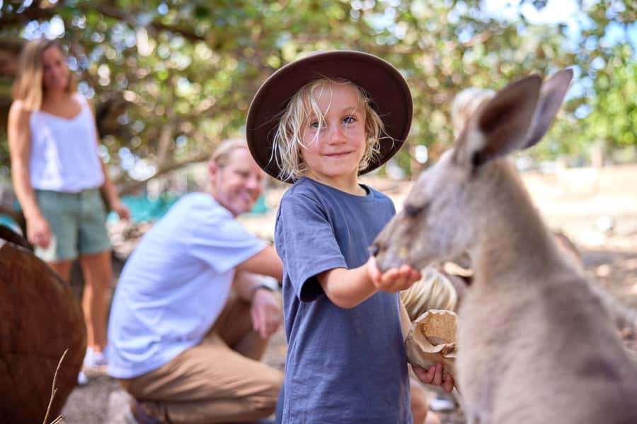 Port Douglas: Breakfast with the Birds - Key highlights at Breakfast with the Birds