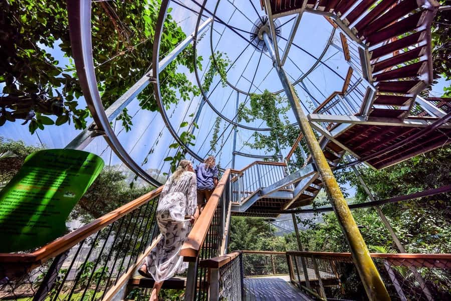 Port Douglas: Breakfast with the Birds - Your 4-hour window, built around breakfast from 8 to 9