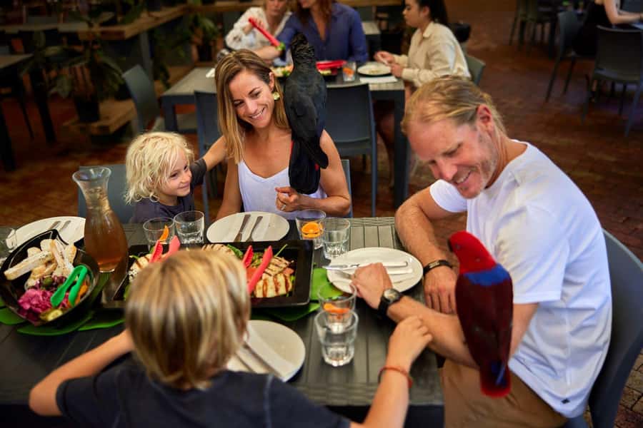Port Douglas: Breakfast with the Birds - Kangaroos and birds, plus the extra wildlife surprises