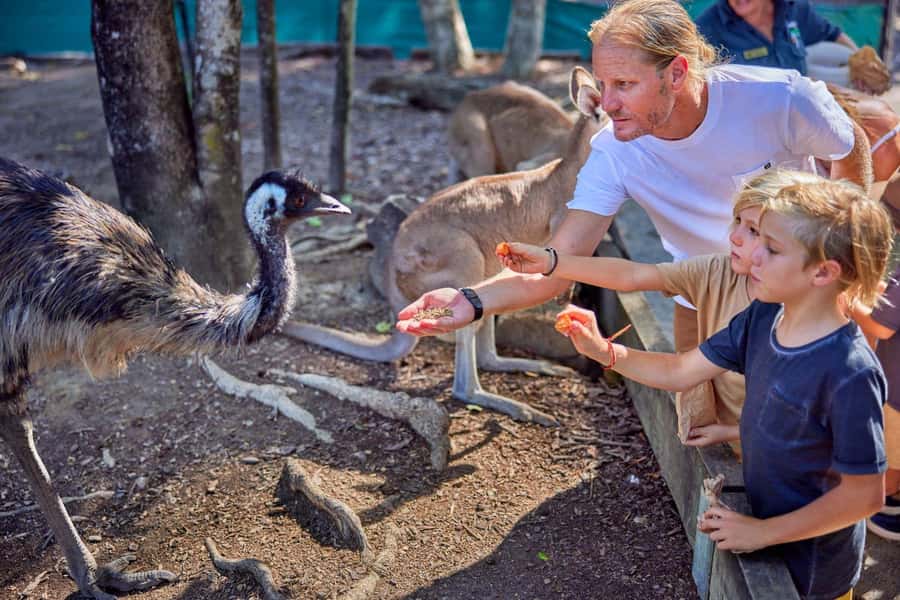 Port Douglas: Breakfast with the Birds - Entering the Wetlands Habitat and getting checked in