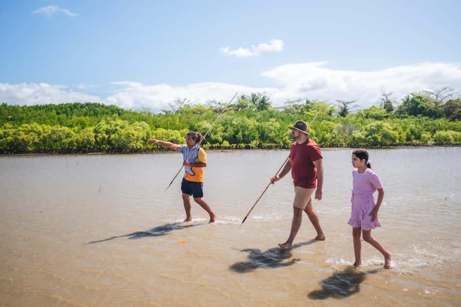 Port Douglas: Daintree Cultural Tour with Hotel Pickup - Who this tour suits best, and who should skip it