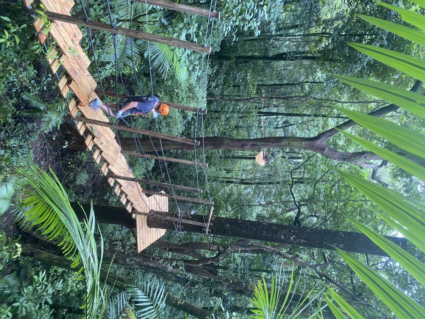 Port Douglas: Daintree National Park Tour, Cruise, & Zipline - The zipline canopy course: that swing feeling and the 150m uphill reality