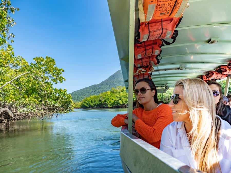 Port Douglas: Daintree National Park Tour, Cruise, & Zipline - The ferry crossing and Alexandra Lookout: your first big Daintree geography lesson