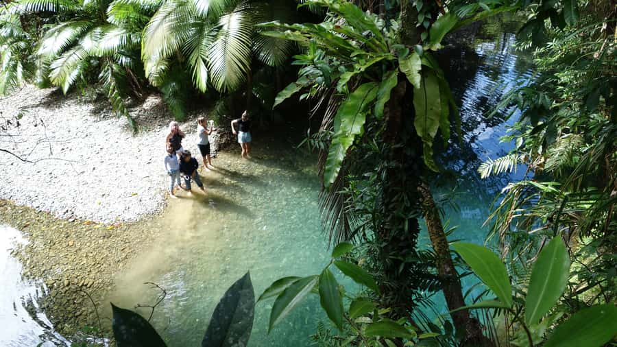 Port Douglas: Daintree Rainforest and Cape Tribulation Tour - Key things to know