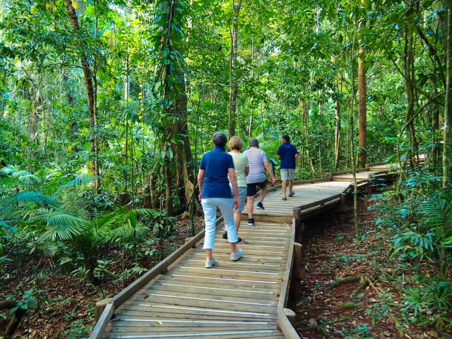 Port Douglas: Daintree Rainforest and Cape Tribulation Tour - Small-Group Comfort From Port Douglas, With Stops That Make Sense