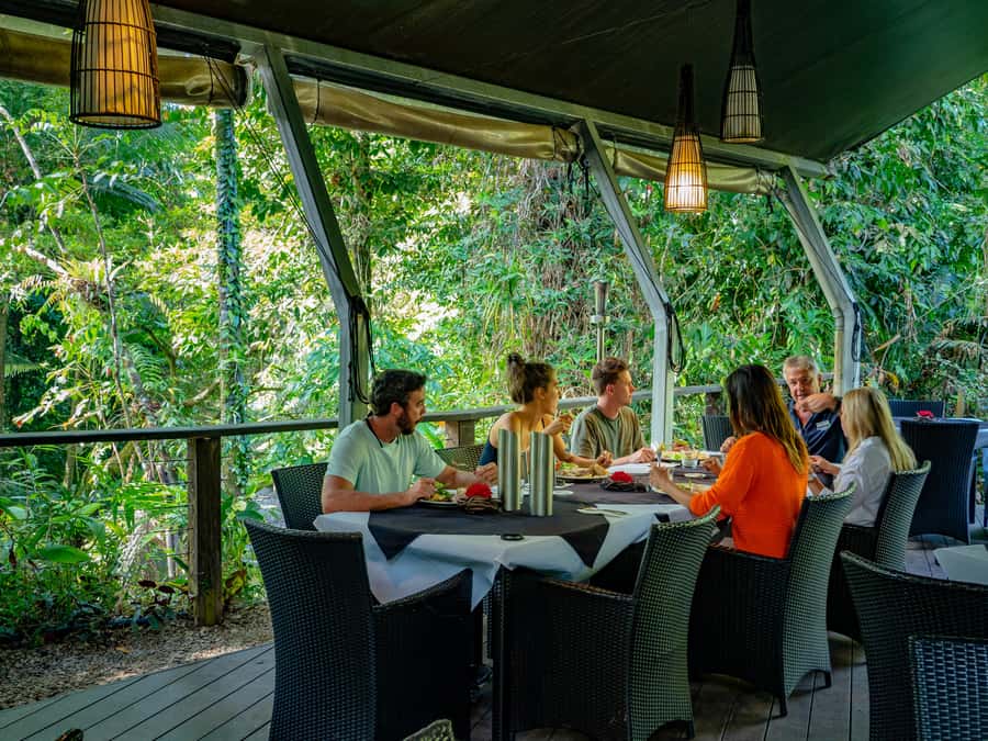 Port Douglas: Daintree Rainforest and Cape Tribulation Tour - Price and Value: Is $162 Worth It for Daintree and Cape Tribulation?