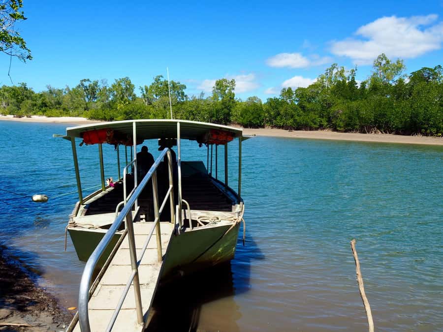 Port Douglas: Daintree Rainforest and Cape Tribulation Tour - Who This Tour Suits Best, and Who Might Want Another Option