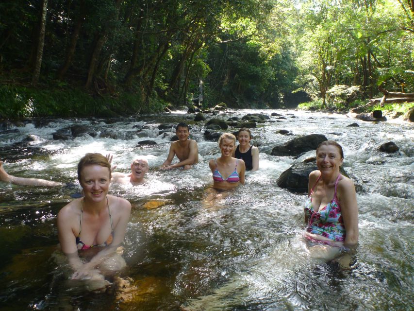 Port Douglas: Daintree Rainforest and Mossman Gorge Tour - Lunch choices and why eating here feels worth it