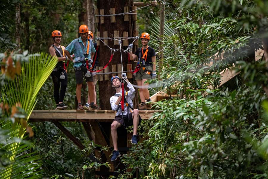 Port Douglas: Daintree Rainforest Canopy Ziplining Tour - Quick highlights from the treetops