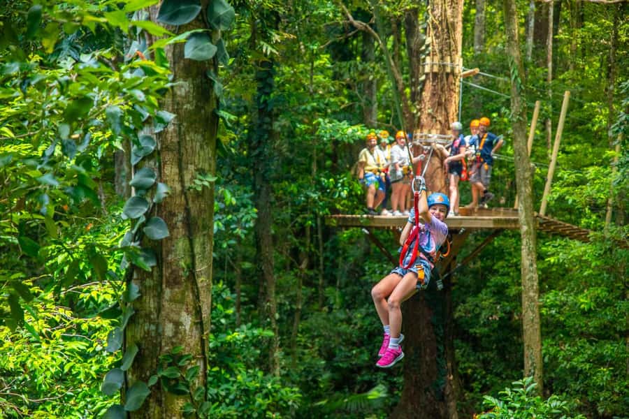 Port Douglas: Daintree Rainforest Canopy Ziplining Tour - Gear, guides, and the value of being in the right hands