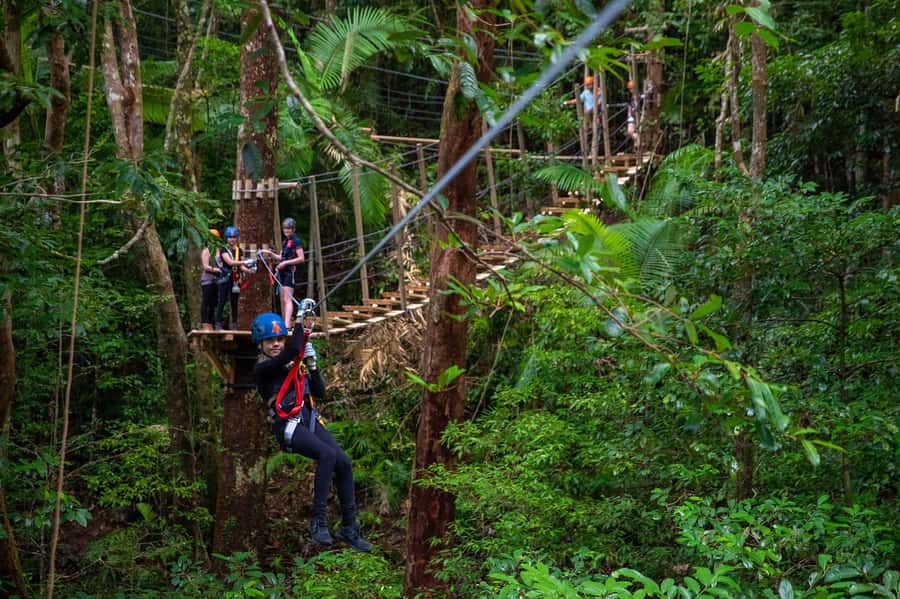 Port Douglas: Daintree Rainforest Canopy Ziplining Tour - The 2-hour flow: treetops walk, talk, bridges, then dual ziplining