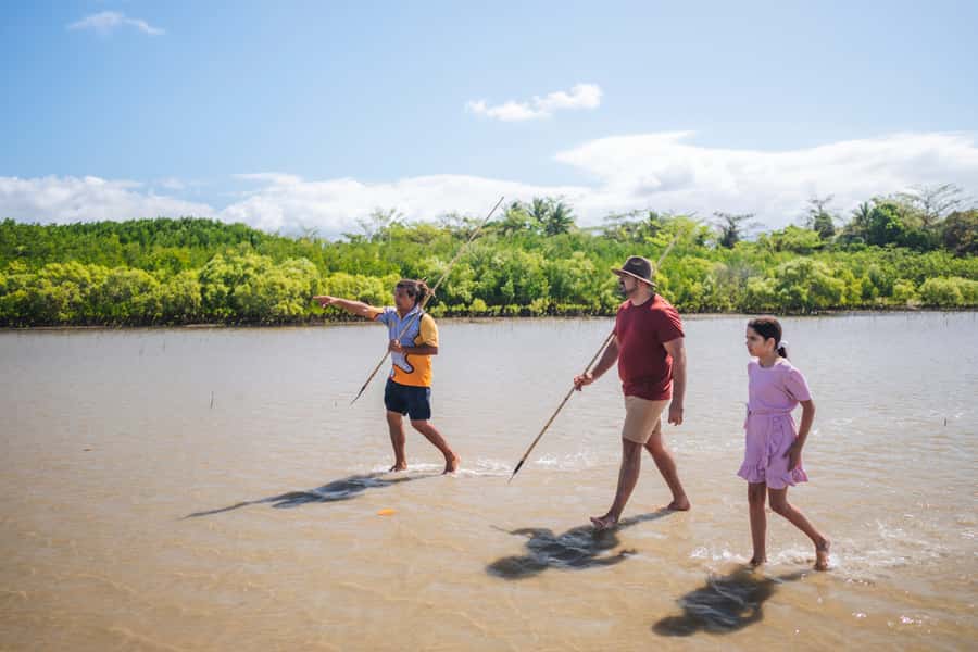 Port Douglas: Full Day Daintree Cultural Tour with Lunch - Key points to know before you go