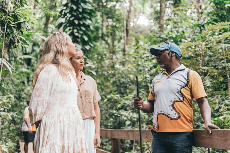 Port Douglas: Full Day Daintree Cultural Tour with Lunch - Why this Kuku Yalanji Daintree tour hits different