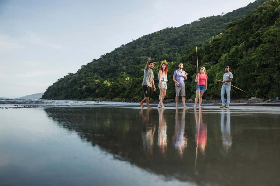 Port Douglas: Full Day Daintree Cultural Tour with Lunch - Mangroves and Mossman Gorge, learning the coast in a new way