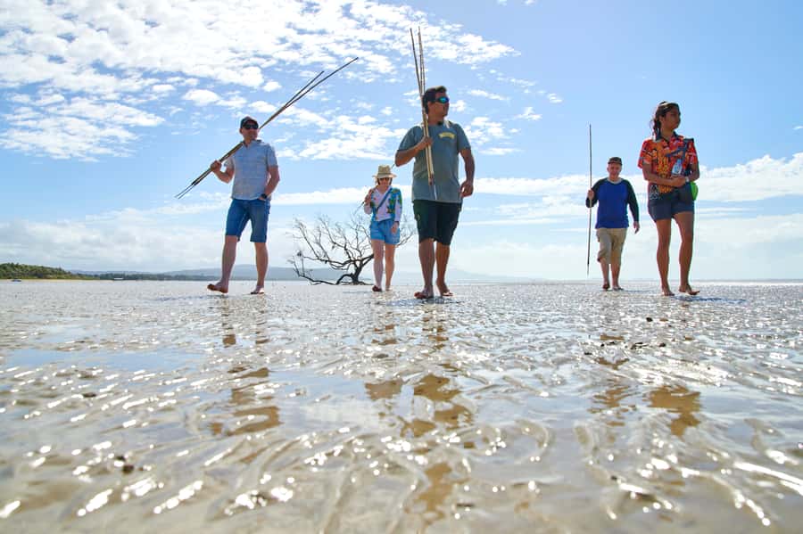 Port Douglas: Full Day Daintree Cultural Tour with Lunch - Traditional medicine lessons you can actually picture