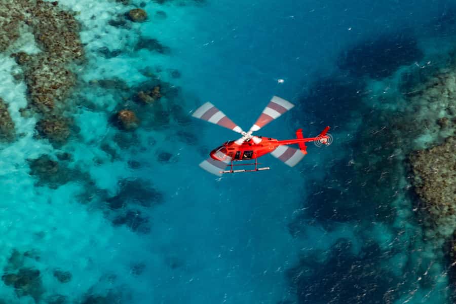 Port Douglas: Great Barrier Reef 30-Minute Helicopter Flight - Batt Reef animal spotting, and why the air matters for wildlife