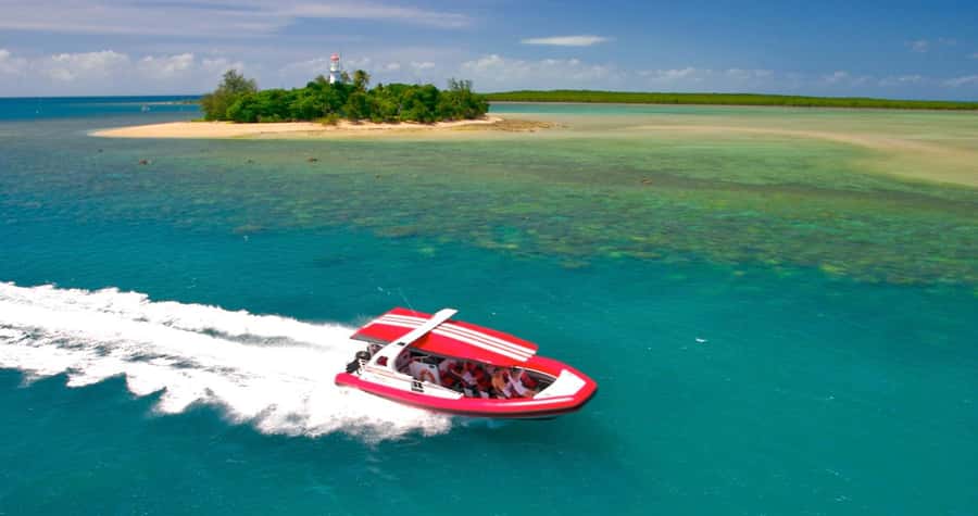 Port Douglas: Half-Day Low Island and Lagoon Snorkeling Tour - Low Isles Lagoon Snorkeling, Directly Off the Beach