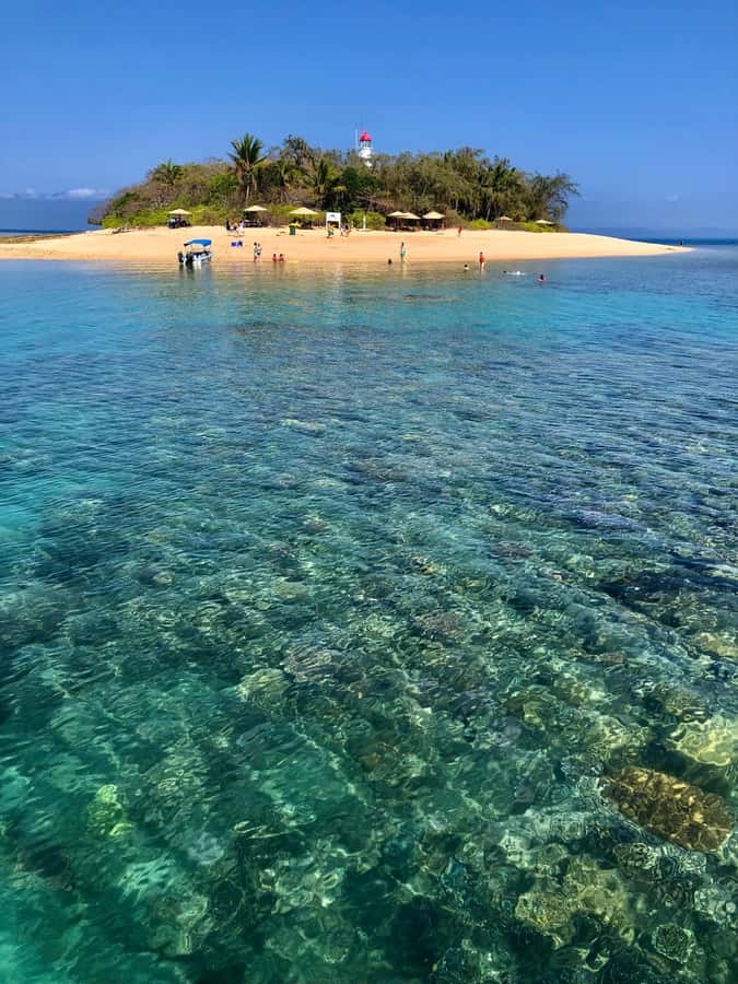 Port Douglas: Half-Day Low Island and Lagoon Snorkeling Tour - Glass-Bottom Boat Transfer, a Nice Bonus Layer of Sight