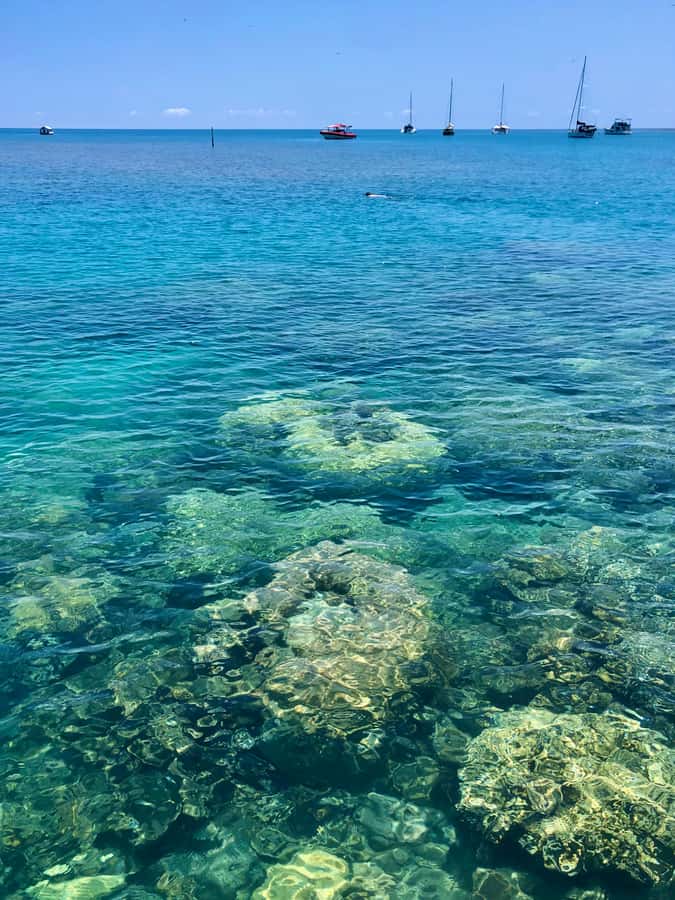 Port Douglas: Half-Day Low Island and Lagoon Snorkeling Tour - Two Hours on the Island, Walk, Relax, or Join the Guided Stroll