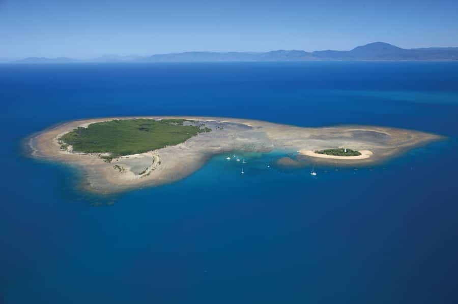 Port Douglas: Low Isles Afternoon Cruise on Luxury Catamaran - Low Isles on a luxury catamaran: what makes it different