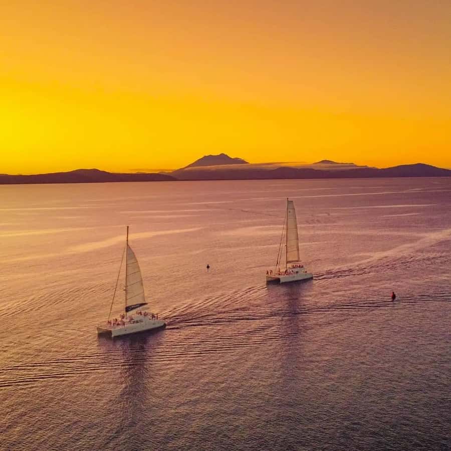 Port Douglas: Low Isles Afternoon Cruise on Luxury Catamaran - The sheltered lagoon: snorkel tour, glass-bottom boat viewing, and heritage walk