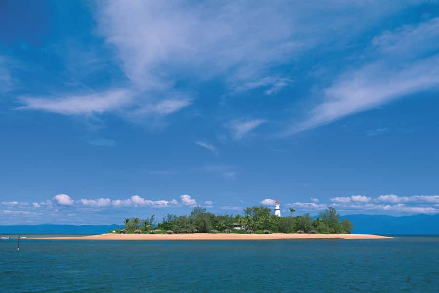 Port Douglas: Low Isles Afternoon Cruise on Luxury Catamaran - Snorkeling reality check and who should sit this one out