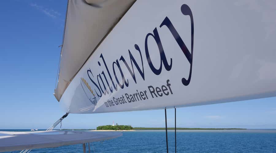 Port Douglas: Low Isles Afternoon Cruise on Luxury Catamaran - Price at $240: is it worth it for what you get