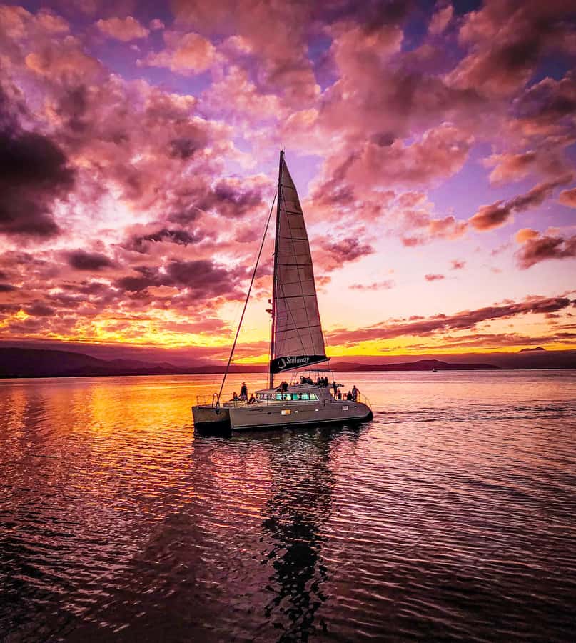Port Douglas: Low Isles Afternoon Cruise on Luxury Catamaran - Should you book the Low Isles afternoon cruise with Sailaway?
