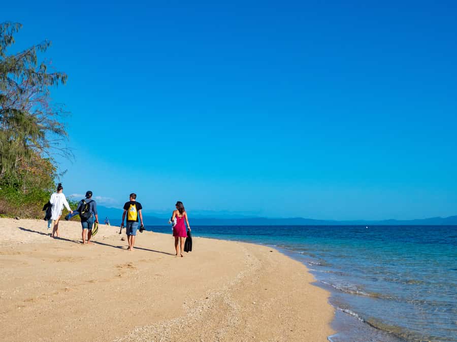 Port Douglas: Low Isles Glass Bottom Boat & Snorkeling Tour - Key points worth knowing about Low Isles