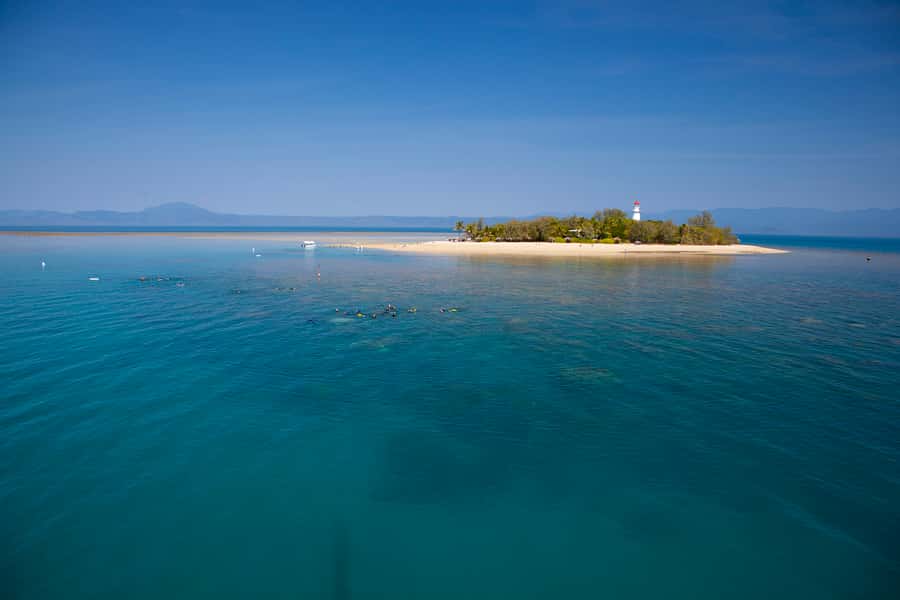 Port Douglas: Low Isles Glass Bottom Boat & Snorkeling Tour - Port Douglas to Low Isles, and why this feels like a win