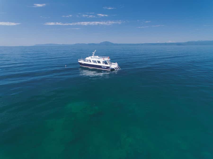 Port Douglas: Low Isles Glass Bottom Boat & Snorkeling Tour - Snorkeling the calm lagoon: turtles, fish, and real guidance