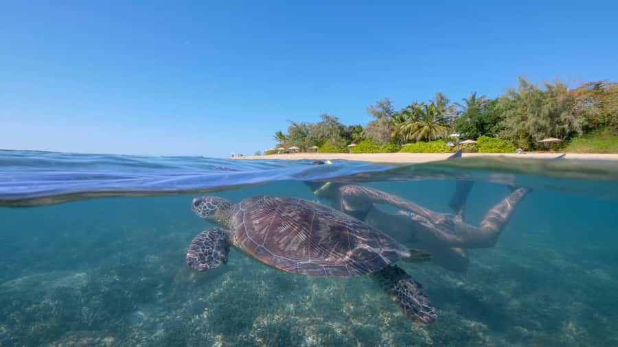 Port Douglas: Low Isles Glass Bottom Boat & Snorkeling Tour - The Calypso XI catamaran ride, and how to maximize it