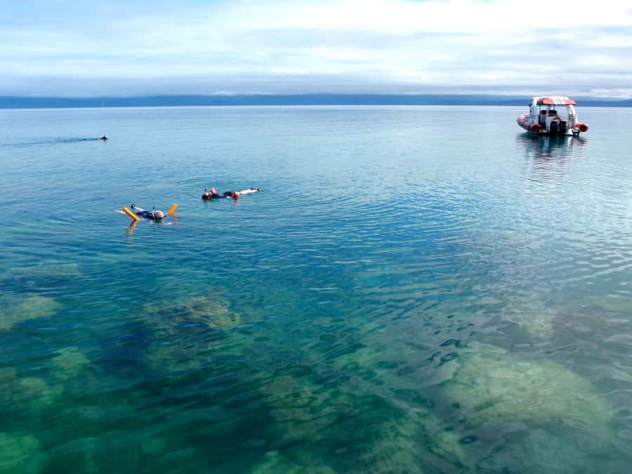 Port Douglas: Low Isles Reef Snorkeling Tour - Timing rules that can quietly ruin your day