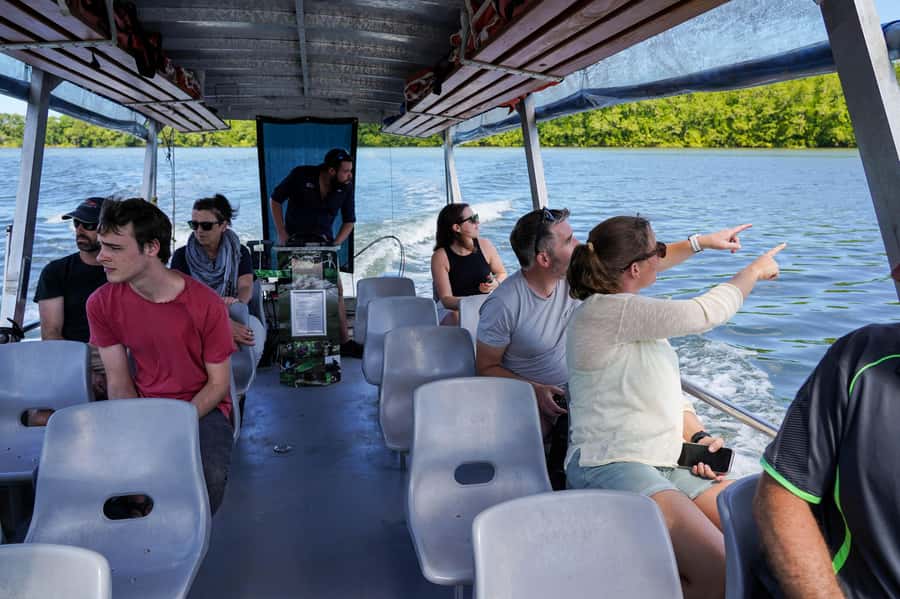 Port Douglas: Morning Daintree Tour w/ Wildlife Cruise - Why This Half-Day Daintree Plan Works From Port Douglas