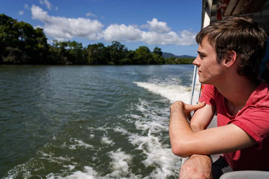 Port Douglas: Morning Daintree Tour w/ Wildlife Cruise - Swimming In The Crystal-Clear Rainforest Stream (And When It Might Change)