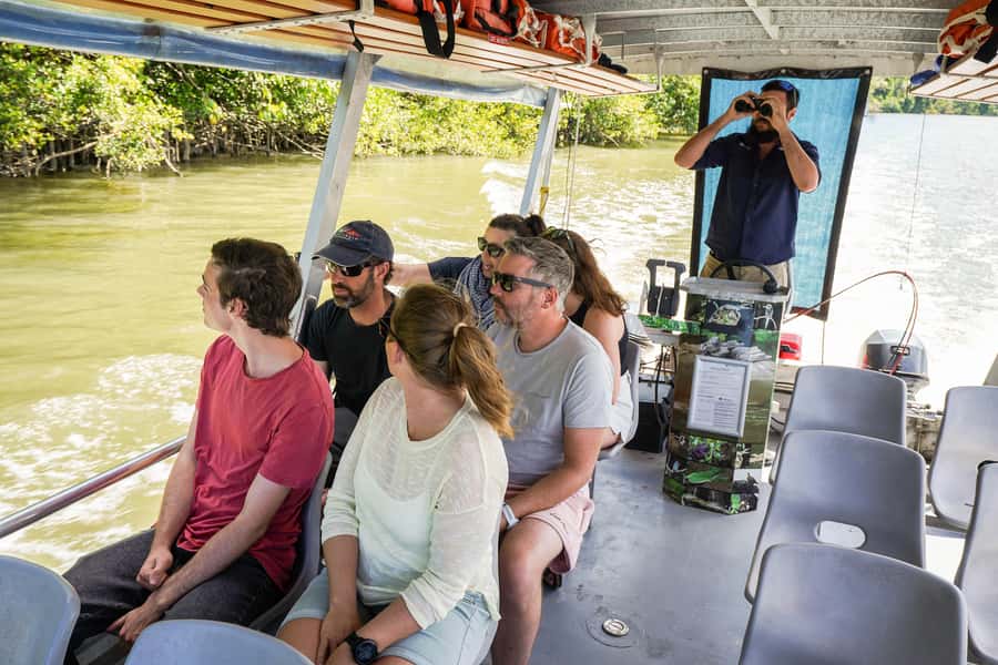 Port Douglas: Morning Daintree Tour w/ Wildlife Cruise - Price And Value: Is $112 Worth It For Five Hours?
