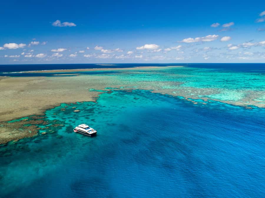Port Douglas: Outer Barrier Reef Snorkel and Dive Options - Stop one on Agincourt-area reefs: briefing first, then snorkel right away