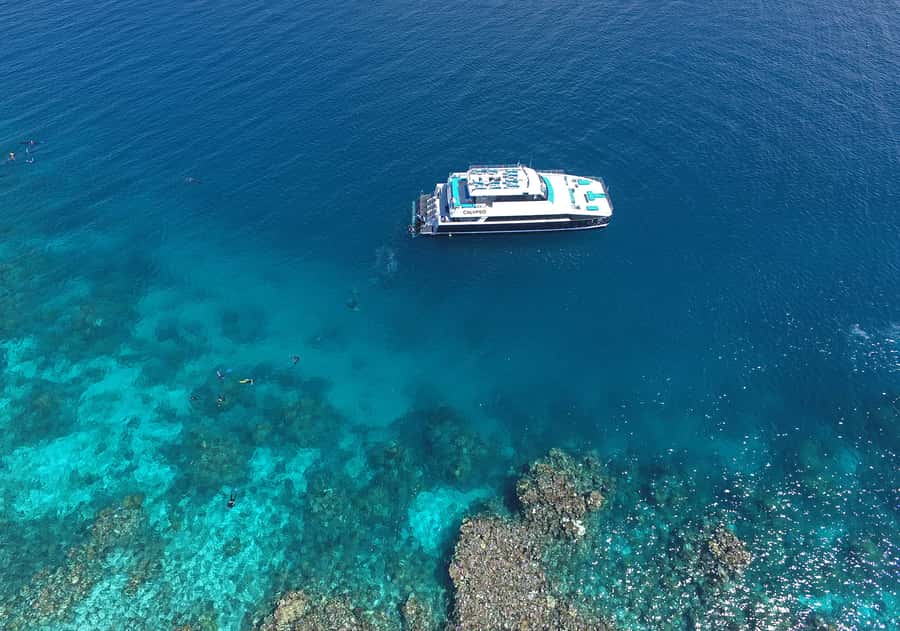 Port Douglas: Outer Barrier Reef Snorkel and Dive Options - Second reef stop with buffet lunch and the reef-spotter brain