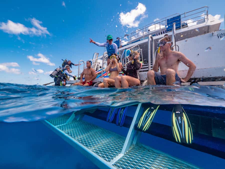 Port Douglas: Outer Barrier Reef Snorkel and Dive Options - Stop three: last snorkeling window, optional scuba time, and downtime