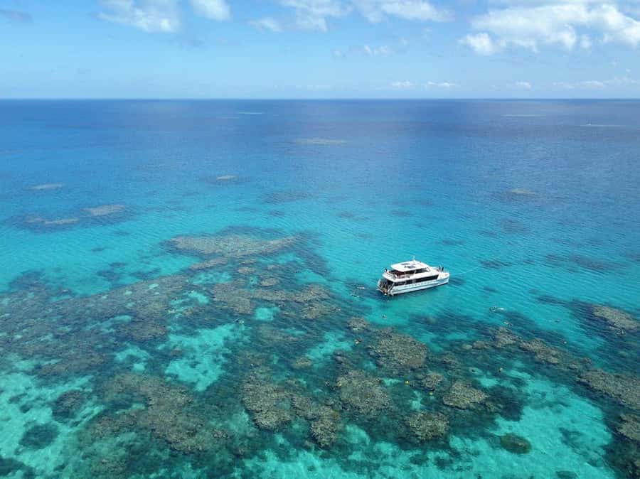 Port Douglas: Outer Great Barrier Reef Snorkeling Cruise - Safety brief first, then real help in the water