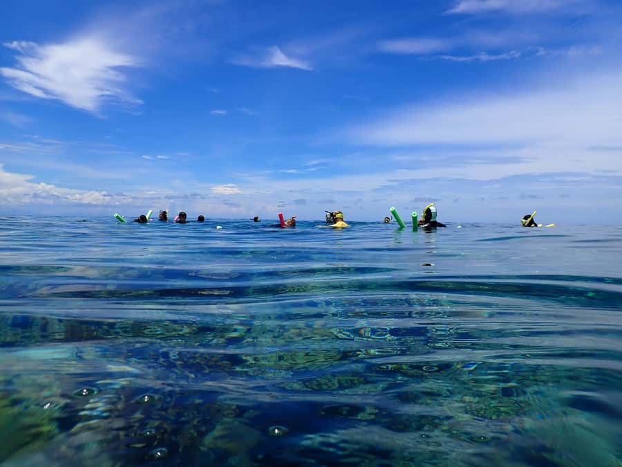 Port Douglas: Outer Great Barrier Reef Snorkeling Cruise - Marine biologists, reef ecology talks, and conservation in plain language