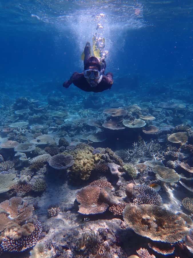 Port Douglas: Outer Great Barrier Reef Snorkeling Cruise - Photos, photo rules, and why you should use the free link