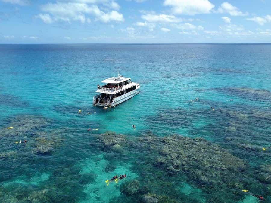 Port Douglas: Outer Great Barrier Reef Snorkeling Cruise - Getting to the reef edge from Port Douglas