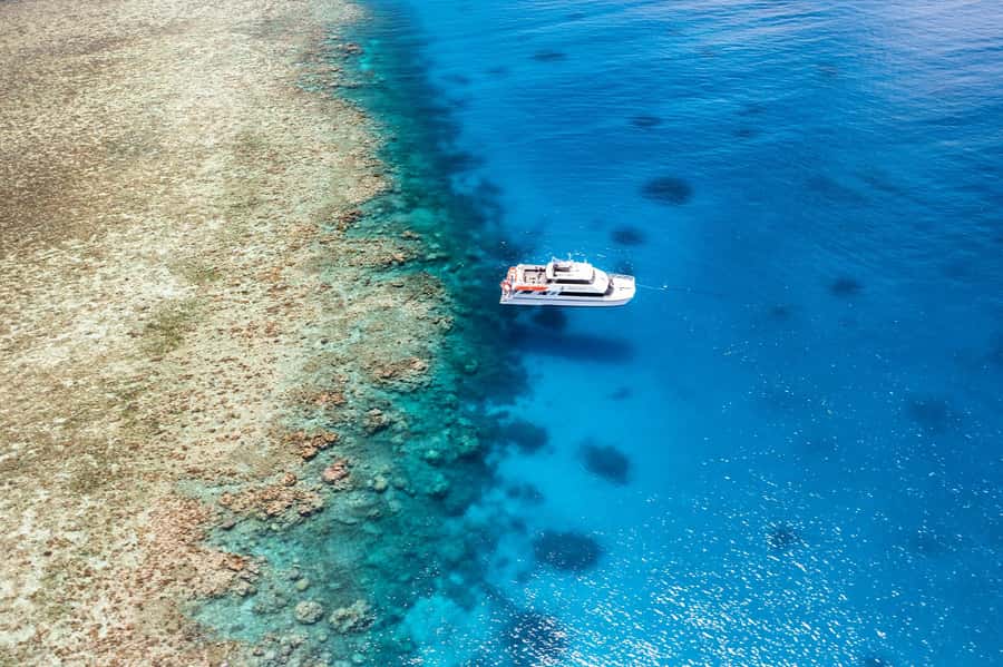 Port Douglas: Poseidon Outer Barrier Reef Dive and Snorkel - Key things that make this reef day work