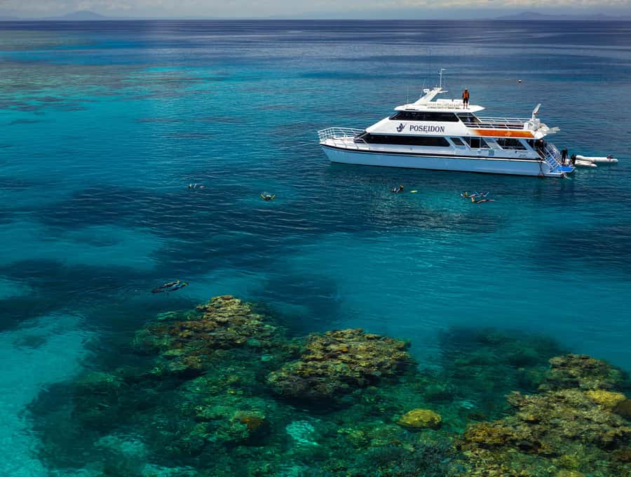 Port Douglas: Poseidon Outer Barrier Reef Dive and Snorkel - Scuba options for first-timers and certified swimmers